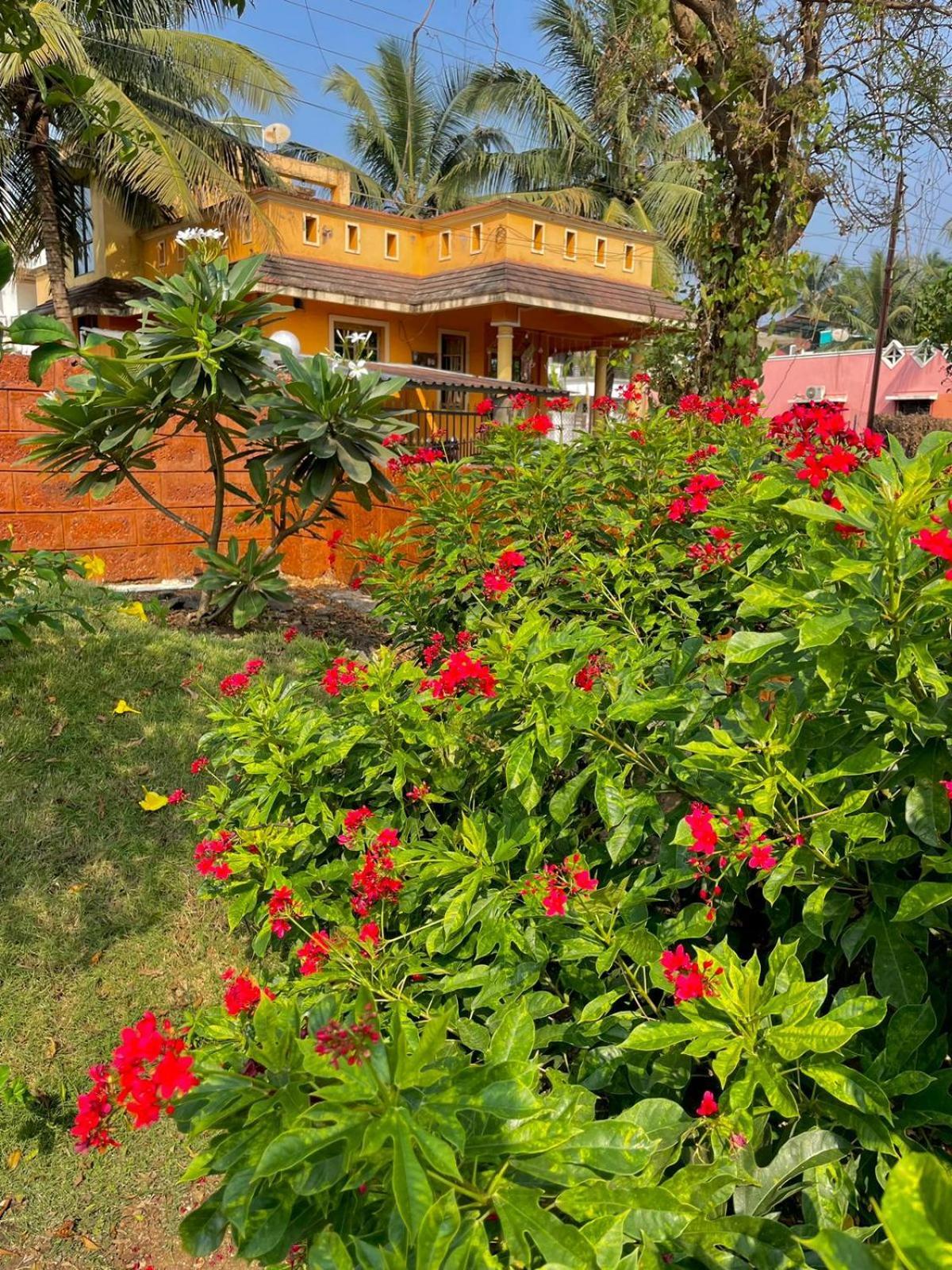 Scarlet Resort อลีบาก ภายนอก รูปภาพ